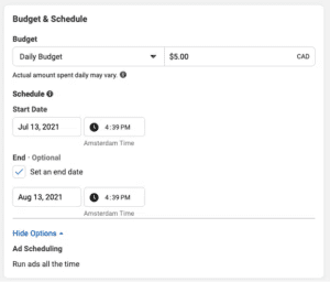 Budget & Schedule