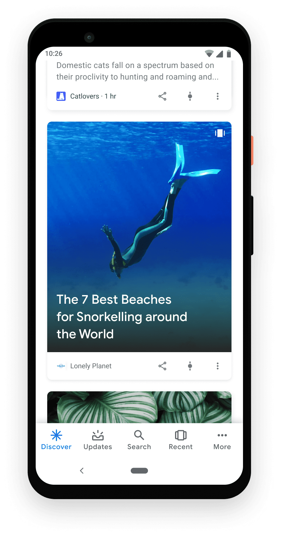 Google web stories-SEO-Varamedia