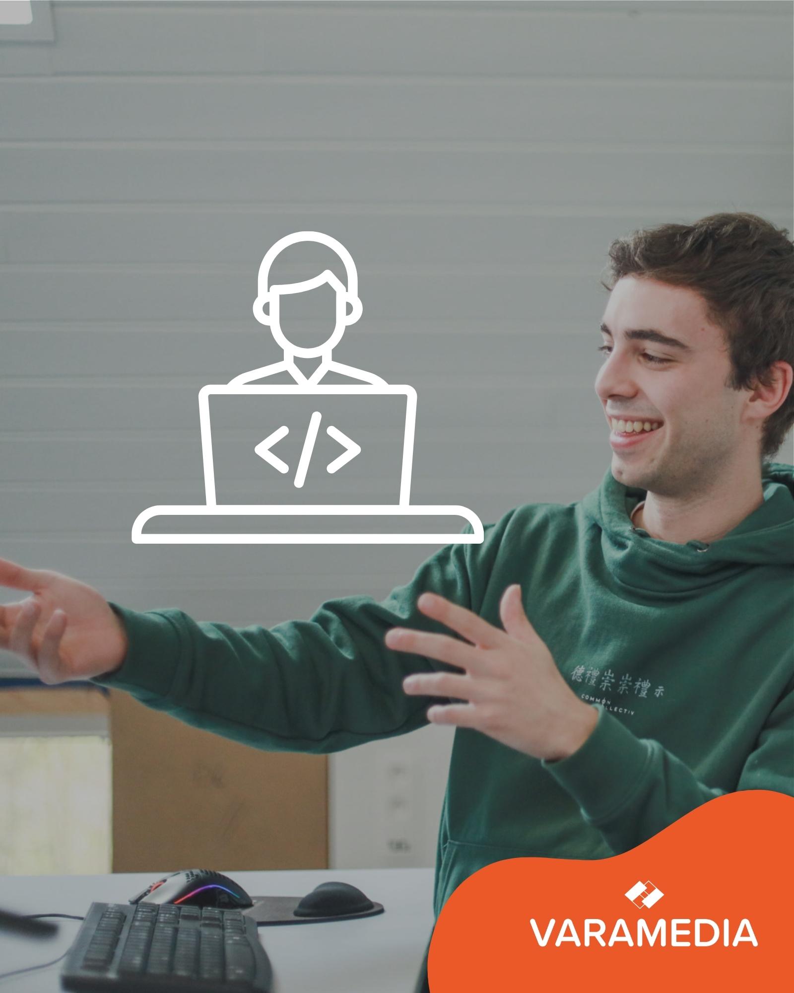 Wordpress developer