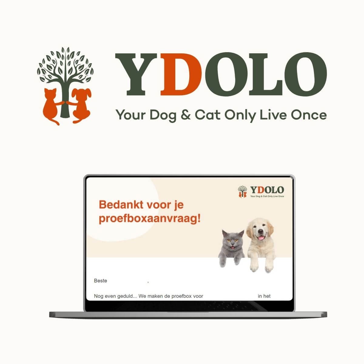 uitdaging Ydolo